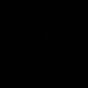 Meet your Posher, Jayson